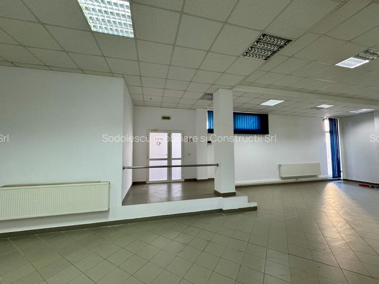 Clădire SAD de închiriat, situată la intrarea în Dumbrăvița - 29