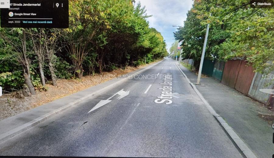 Pădure urbană cu potențial infinit – Strada Jandarmeriei - 3