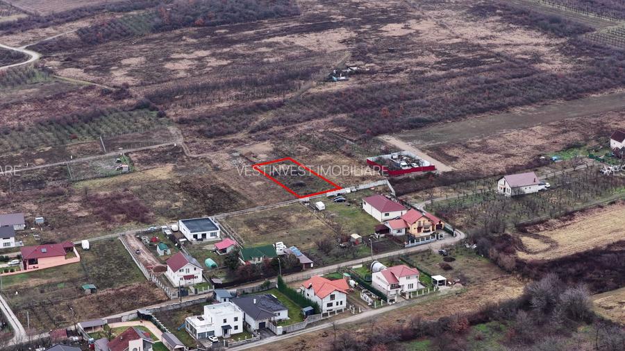 Teren Intravilan, Nicolae Beldiceanu - 5