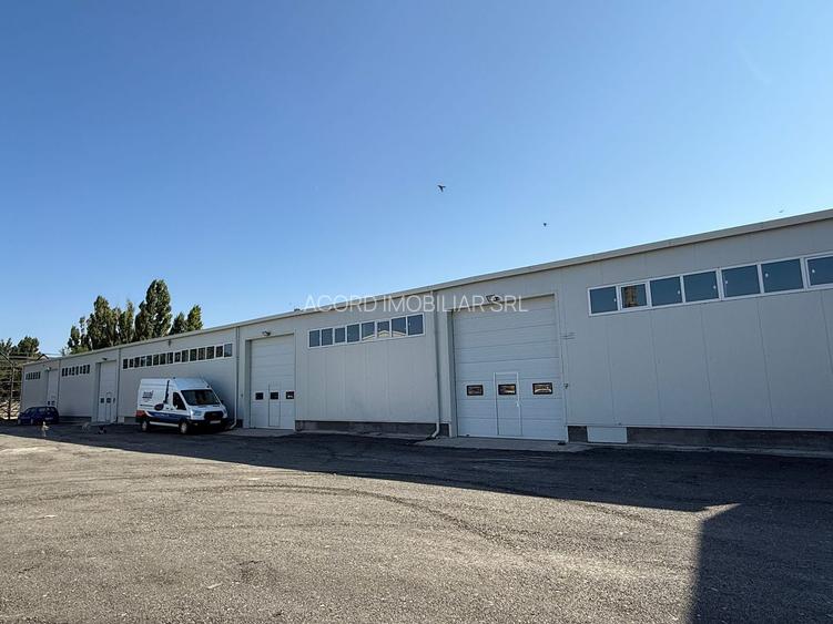 Zona industriala Hala Noua,ideala depozitare zona logistica. - 6