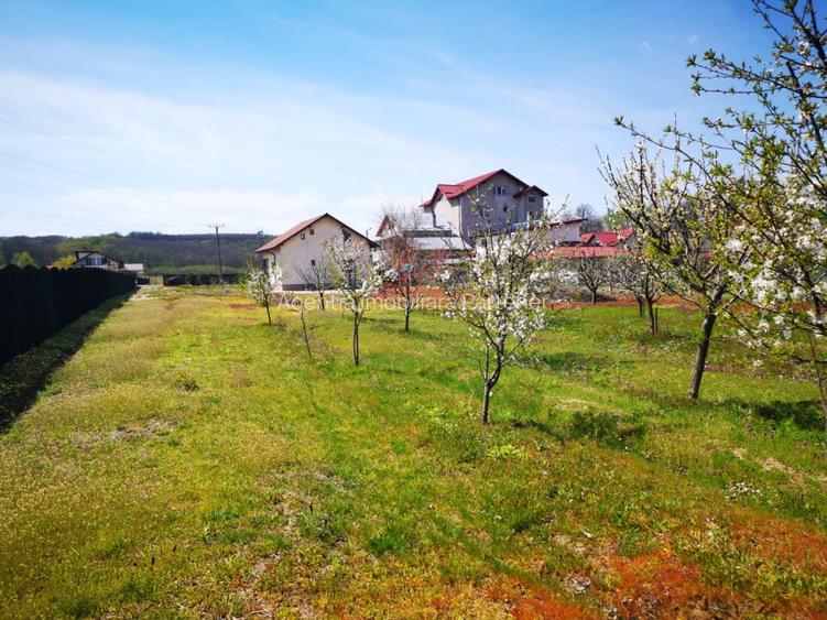 Casa P+E, BASCOV, semifinisata, teren 5044mp - 4