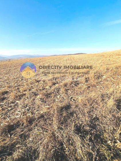 TEREN intravilan  comuna GARCINA - 4