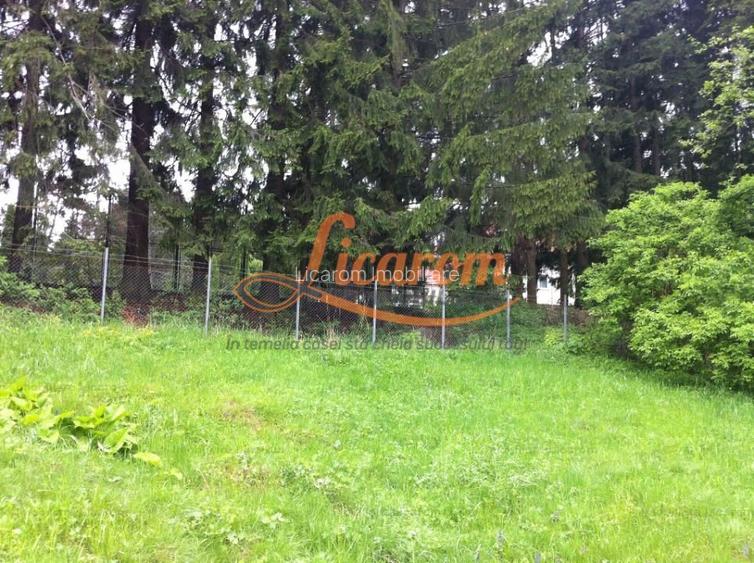 Teren intravilan Cotul Donului,pretabil Hotel/pensiune. - 11