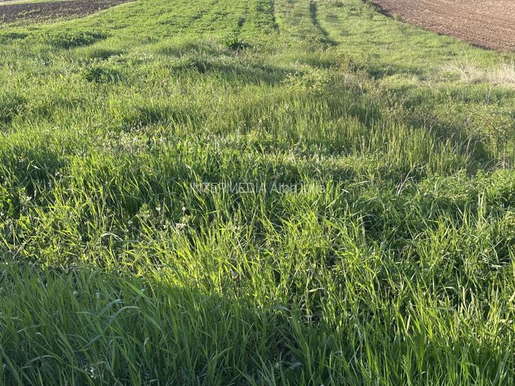Teren Intravilan de vanzare in Alba Iulia zona Micesti in suprafata de 1077 mp - 2