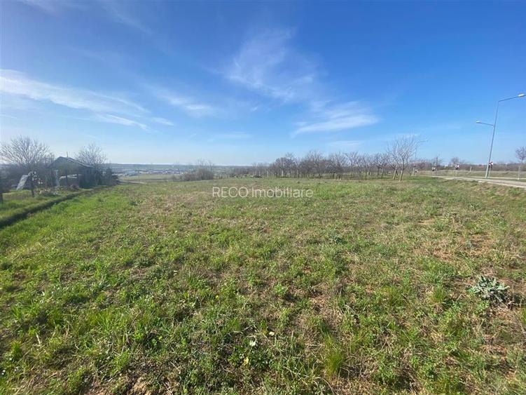 RECO teren extravilan 2148mp Episcopia - 3