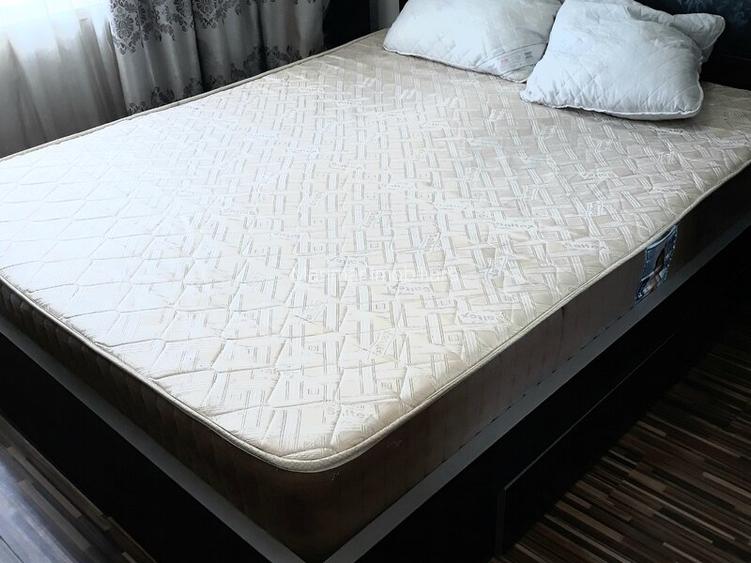 Pantelimon, Cimitirul Armenesc, Lidl, adiacent Centrala Termica - 10