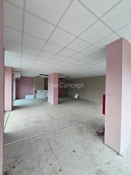 Spatiu Comercial pe Bld. Victoriei vizavi de Parcul Sub Arini - Hotel Mercure - 6