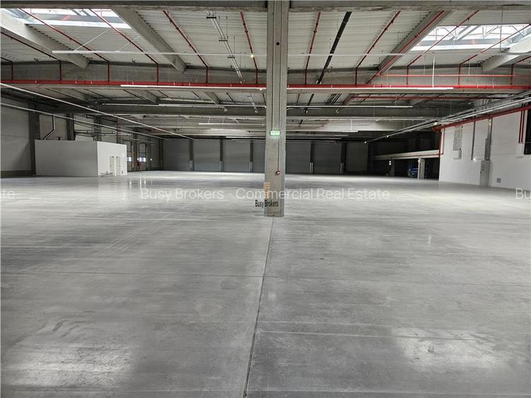 Spatiu Industrial - 4600 mp - Productie - Depozitare - Distributie - 10