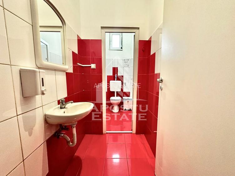 Spatiu Comercial/Birouri de Inchiriat In zona UTA langa Penny, Ared - 20