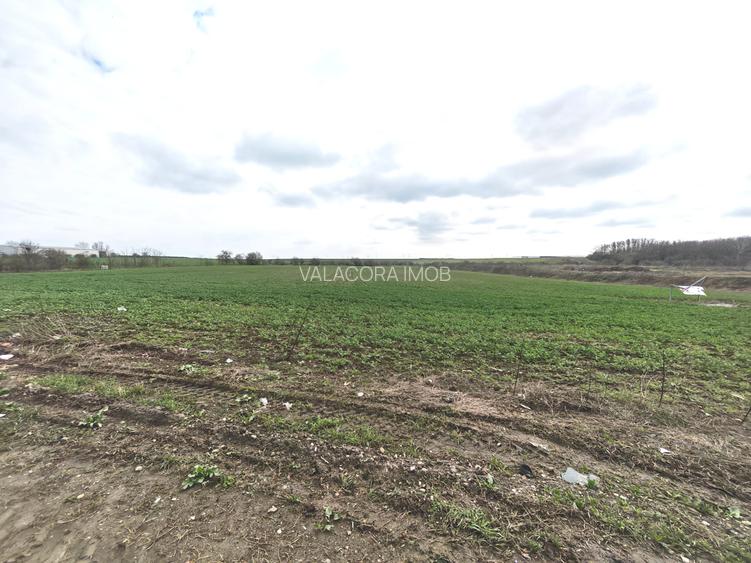 Teren intravilan |  Popesti-Leordeni | Acces direct din Sos de Centura - 4