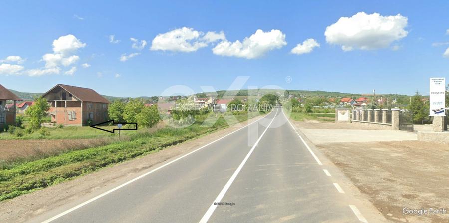 Teren intravilan 4514 mp de vanzare, Luizi Calugara - 3