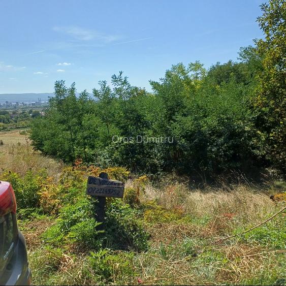 Teren vânzare Vâlcea  - 3