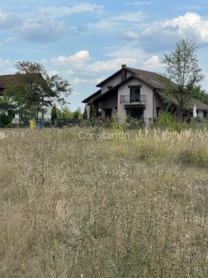 Vand teren intravilan 3774 mp Pădurea Scrovistea Peris Balteni - 7