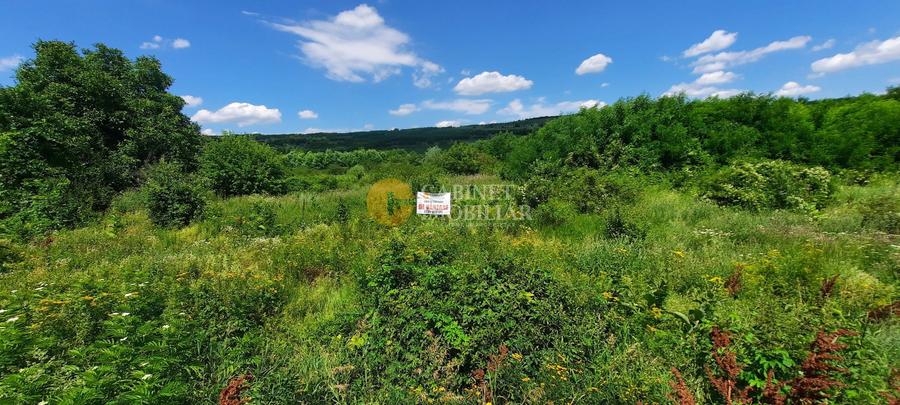 🌳 🌞🌿 TEREN INTRAVILAN 2800 mp - 30 Euro/mp - RATE LA NOTARIAT ! 🌳🌞🌿