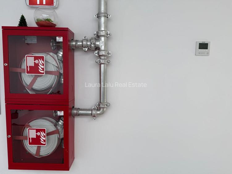 Spațiu industrial de închiriat – Drumul între Tarlale, Sector 3 - 16