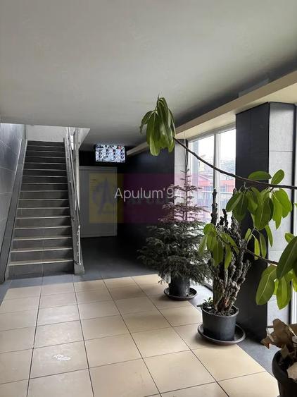 Garsonieră renovată de vânzare   Vitan, zona Stadion Olimpia - 8