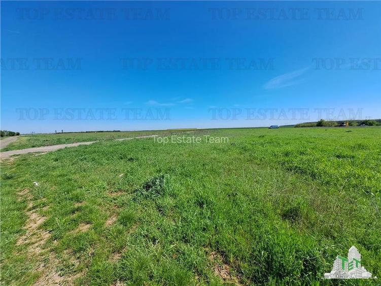 Loturi teren de vanzare Branesti/Vadu Anei - 3