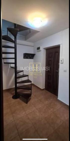 Apartament 1 camera Dec + mansarda 50 mp Nicolina Lidl 380 euro - 6
