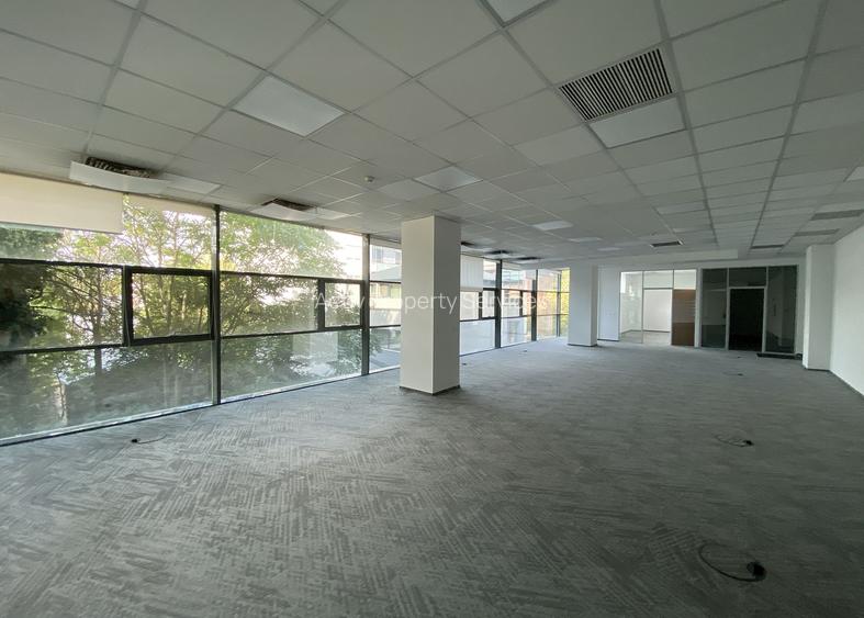 H Herastrau Park - comision 0%, reprezentam proprietarul! - 8