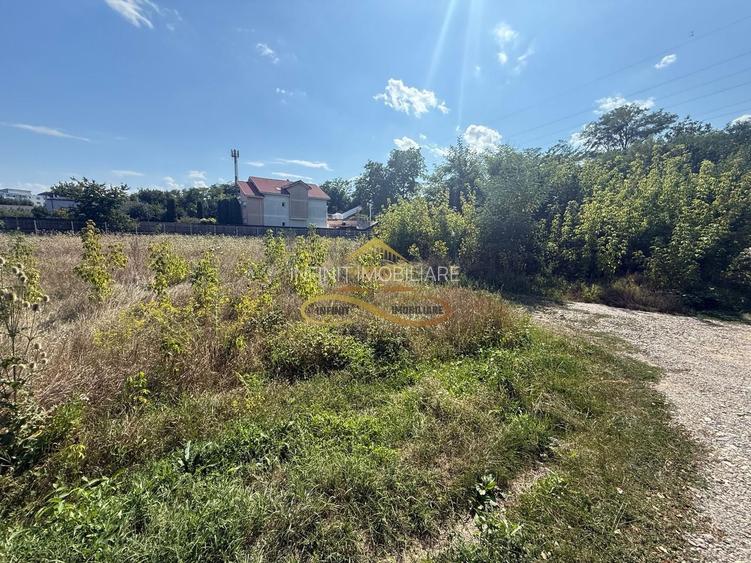 Teren de vanzare in Bacau - 3