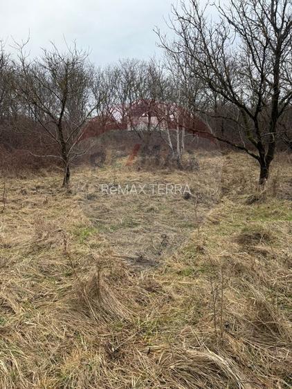 DE VANZARE Teren Strada Victoriei Baia Mare - 9