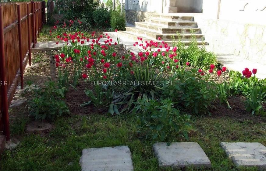 Conac boieresc - 5 camere - Nicolae Balcescu - 105.000 euro (Cod E11) - 16