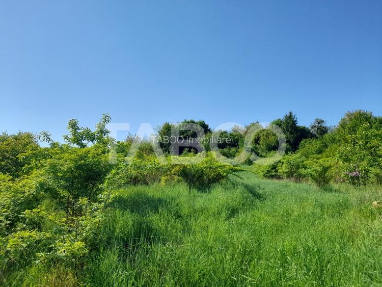 Teren de vanzare 4500 mp in centrul comunei Hamba judetul Sibiu - 4