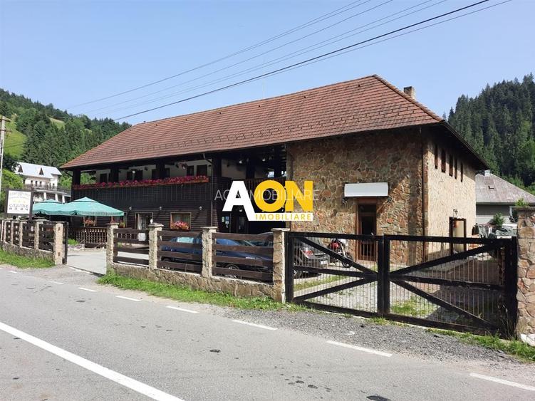 Pensiune in Muntii Apuseni 10 camere 1007 mp teren - 2