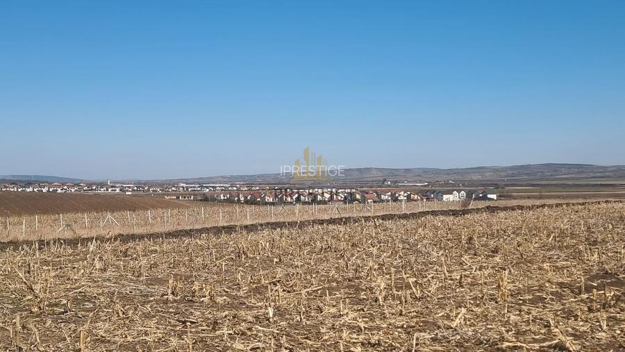 TEREN INTRAVILAN CU UTILITĂȚI | 420-450 MP | ȘURA MICĂ | PUZ APROBAT - 6