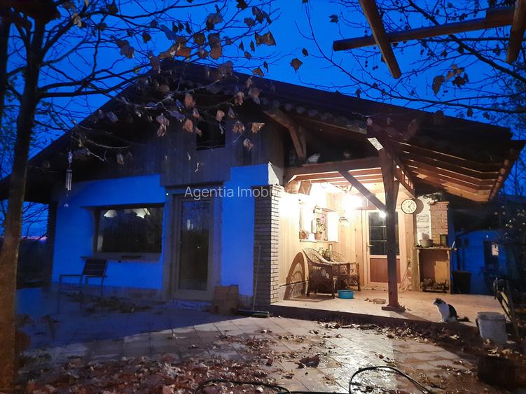 Casa noua cu 6500mp teren si anexe la Hudum - 4