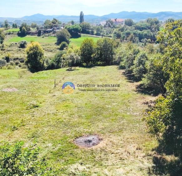 TEREN intravilan  2510 mp BORLEȘTI - ȘOVOAIA - 4