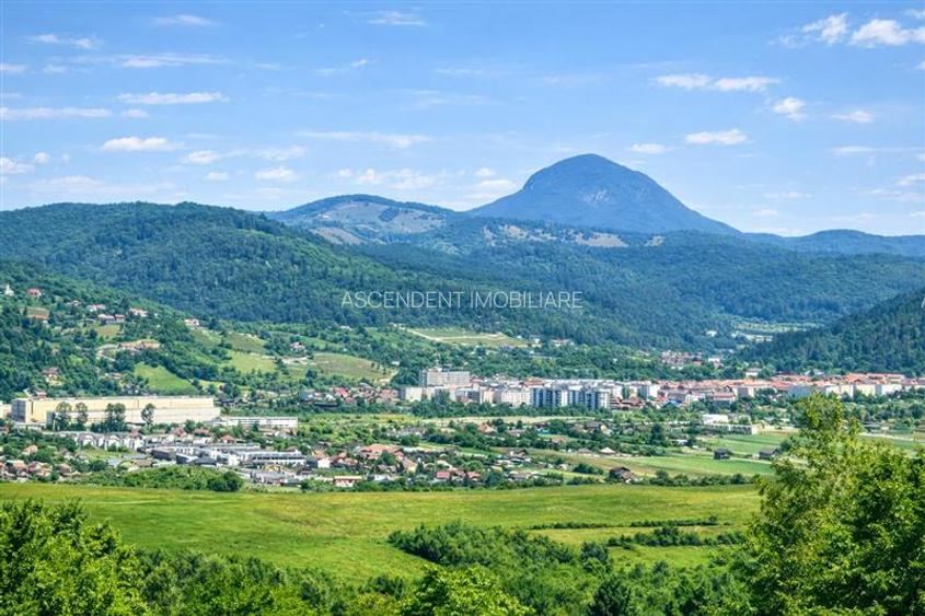 3.000mp de incantare montana cu cabana din lemn masiv, Zarnesti Tohanita - 10