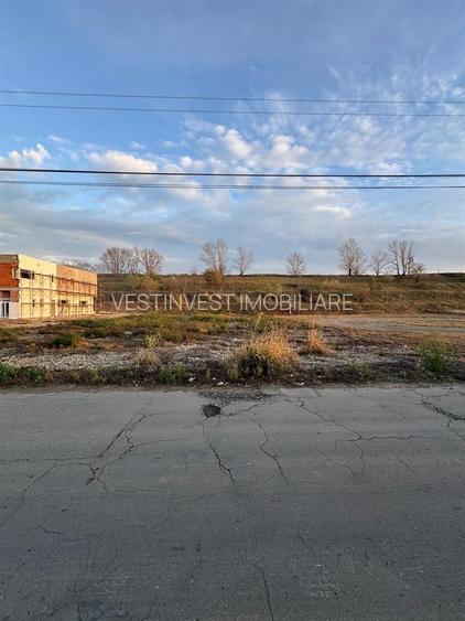 Teren Industrial 1500 mp Calea Borsului - 2