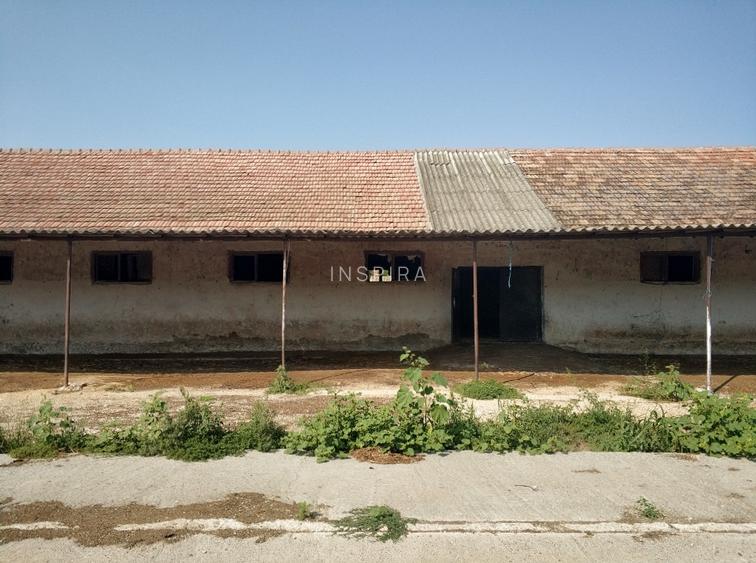 Ferma cu hale 3000 mp si teren 12000 mp, 30 km de Constanta - 4