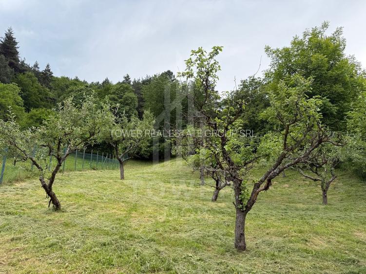 Casă rustică de vânzare în Tilișca, (Marginimea Sibiului) - 23