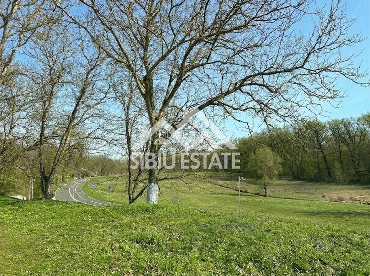 Vila cu Deschidere de 21m – Calea Poplăcii (Langa Parc) 950mp teren - 23