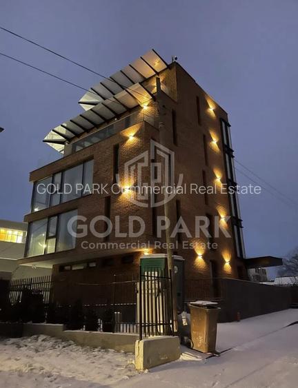 Spatiu de Birouri/Cladire de Birouri-Zona Europa-Garaj/Parcari/Curte - 14