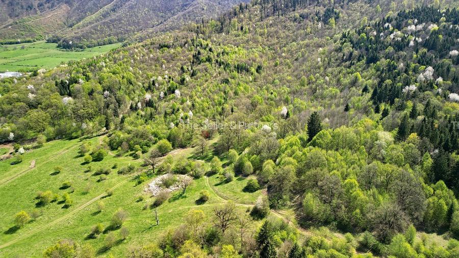 Teren Intravilan parcele 1000mp - 18