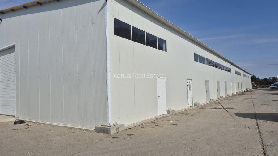 HALA | HALTA TRAIAN | SERVICE | DEPOZITARE - 5