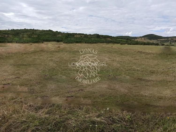 TEREN INTRAVILAN 5000 mp-ideal case,hale-Livezile PRET PROMO! - 2