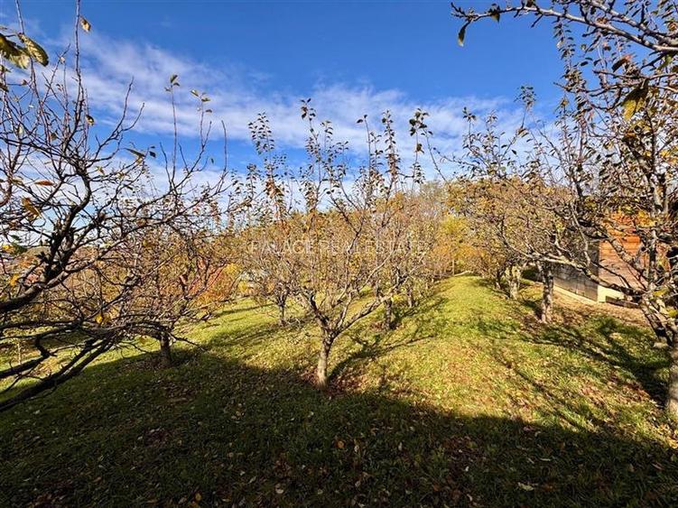 Proprietatea deosebita cu 4000mp teren, Barnova - 6