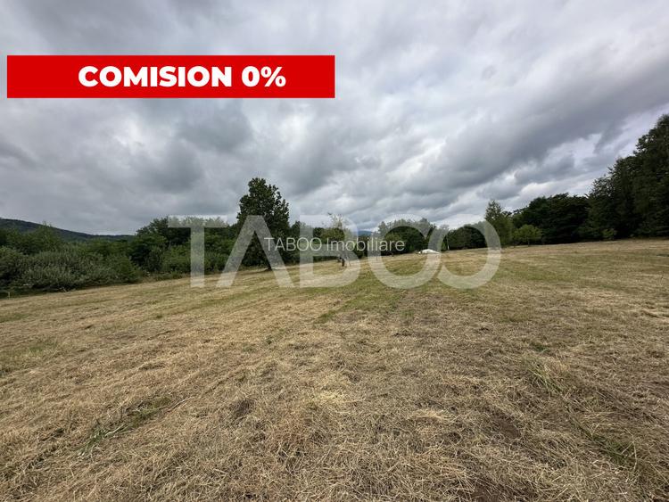 Teren intravilan 8000 mp cu anexa gospodareasca in Vistisoara - 2