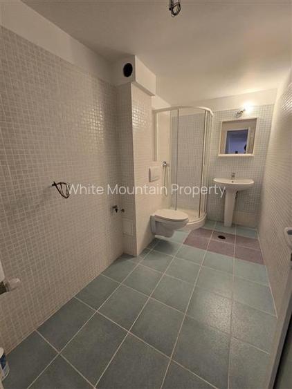 Ion Mihalache, vila 9 camere cu piscina interioara, de vanzare, comision 0% - 31