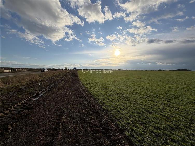 TEREN INTRAVILAN 24457 MP | 80 ML FRONT STRADAL | ORADEA | BIHOR - 5