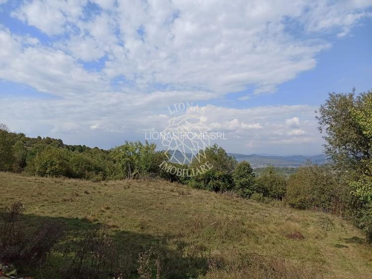 Teren  42,200 mp (4,22 hectare)-Parcelabil-investitie-Valea Jelnei - 4