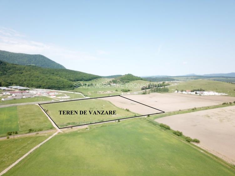Teren la DN 1 Codlea ideal comercial - 5