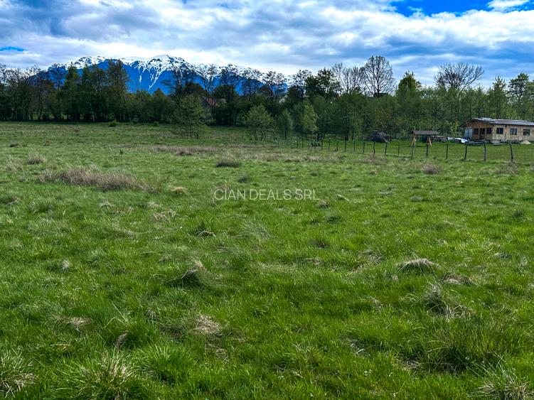 Teren Bran Zarnesti 3 km Castelul Bran 25 km Brasov - 7