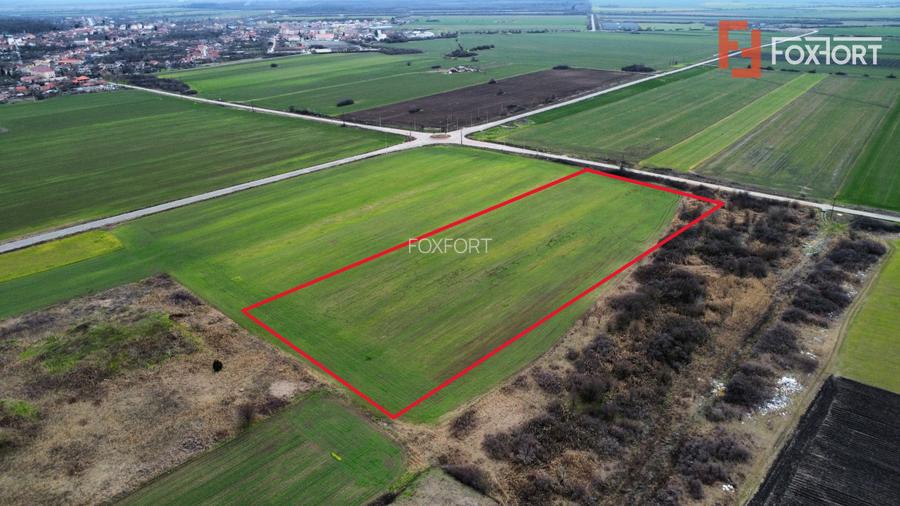 Teren industrial de vanzare de 25.000 mp, zona Deta - 5