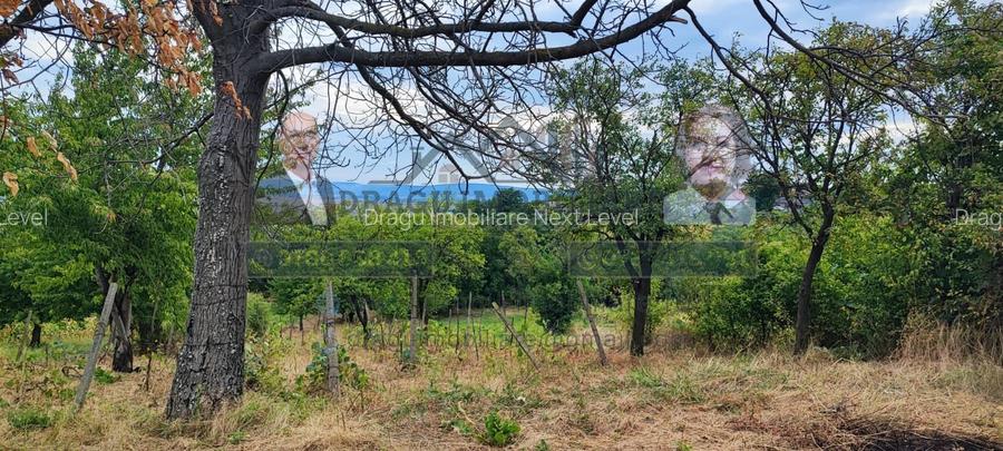 Teren generos 2186 mp cu casă bătrânească – Copăcești, județul Vrancea - 10