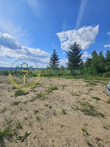 Teren 3.000 mp cu priveliște panoramică spre Munții Făgăraș - 9